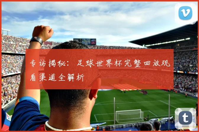 专访揭秘:足球世界杯完整回放观看渠道全解析