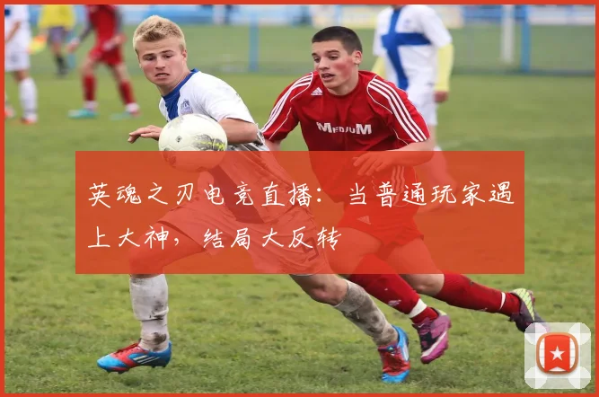 英魂之刃电竞直播：当普通玩家遇上大神，结局大反转